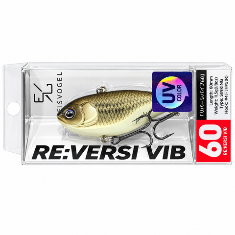 EISVOGEL RE Versi Vibe